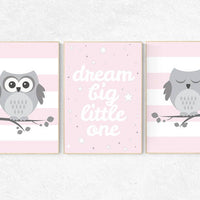 Pink nursery decor, Owl nursery wall art, dream big little one, baby girl room decor, owl nursery decor baby girl nursery decor nursery girl