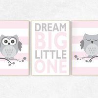 Nursery decor pink and gray, Owl nursery wall art, dream big little one, baby girl room decor, owl nursery decor, nursery decor girls
