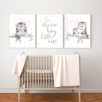 Pink nursery decor, dream big little one, Owl nursery wall art, baby girl room decor, owl nursery decor, baby girl nursery art, owls
