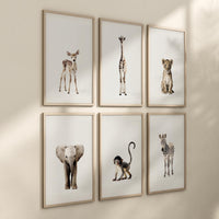 Safari Nursery Wall Art Set of 6 Prints, Neutral Baby Animal Prints