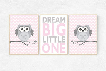 Pink nursery decor, Owl nursery wall art, dream big little one, baby girl room decor, owl nursery decor baby girl nursery decor nursery girl