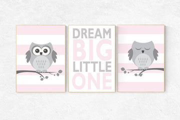 Nursery decor pink and gray,  Owl nursery wall art, dream big little one, baby girl room decor, owl nursery decor, nursery decor girls