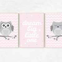 Pink nursery decor, Owl nursery wall art, dream big little one, baby girl room decor, owl nursery decor baby girl nursery decor nursery girl