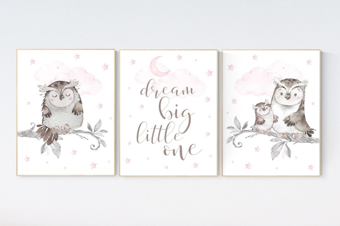 Pink nursery decor, dream big little one, Owl nursery wall art, baby girl room decor, owl nursery decor, baby girl nursery art, owls