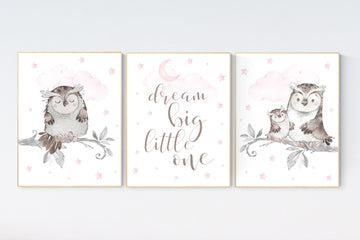 Pink nursery decor, dream big little one, Owl nursery wall art, baby girl room decor, owl nursery decor, baby girl nursery art, owls