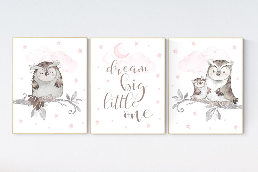 Pink nursery decor, dream big little one, Owl nursery wall art, baby girl room decor, owl nursery decor, baby girl nursery art, owls