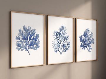 Blue Coral Watercolor Print Set: Coastal Bathroom Seaweed Art Trio