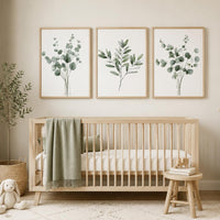 Botanical Wall Art Set of 3, Green Eucalyptus Prints, Minimalist Plant Wall Decor